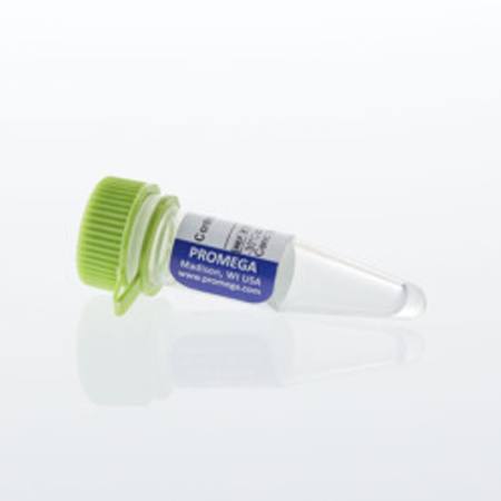 Buy Control Ab, Anti-GITR in NZ. 