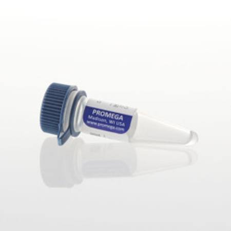 Buy Control Ab, Anti-CD40 in NZ. 