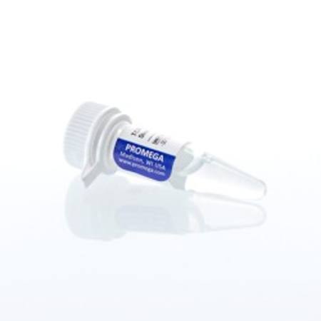 Buy TCR Activating Antigen Stock Solution, 500ul in NZ.