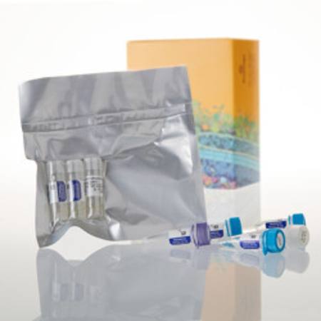 Buy S30 T7 High-Yield Protein Expression System, 24 reaction in NZ.