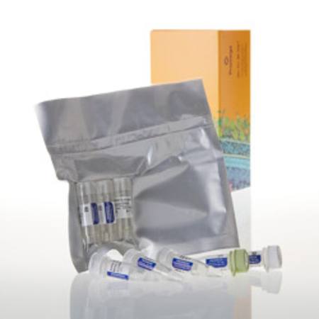 Buy E. coli T7-S30 Extract System for Circular DNA in NZ.