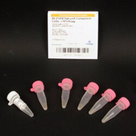 Buy BL21(DE3)pLysS Competent Cells >10x6 cfu/ug, 1ml in NZ.
