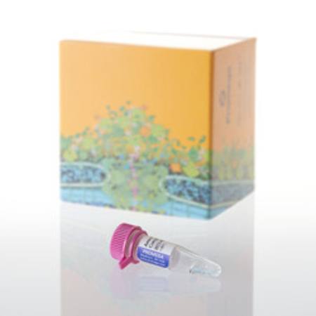 Amino Acid Mixture, Complete, 175ul