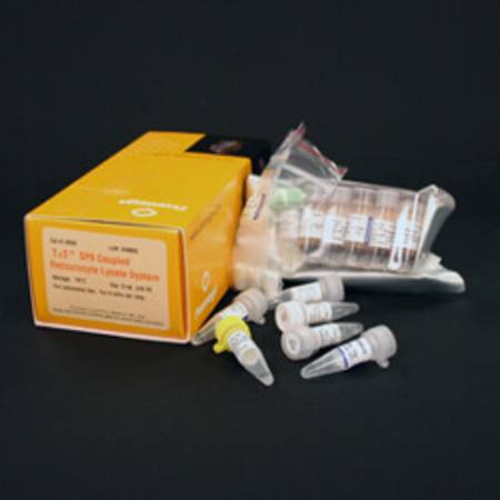 Buy TNT(R) SP6 Coupled Reticulocyte Lysate System in NZ. 