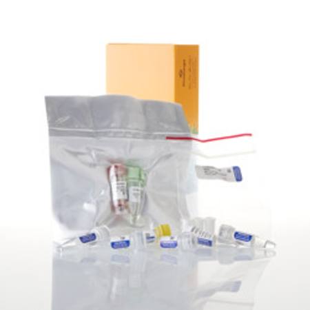 Buy TNT(R) SP6 Coupled Reticulocyte Lysate System, Trial Size in NZ. 