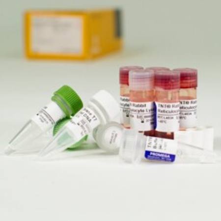 Buy TNT(R) T7 Coupled Reticulocyte Lysate System in NZ. 