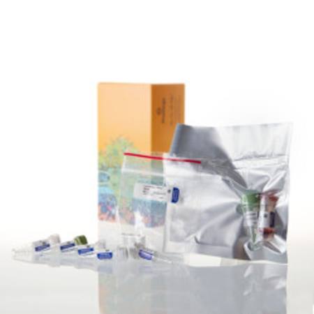 Buy TNT(R) T7 Coupled Reticulocyte Lysate System - Trial Size in NZ.
