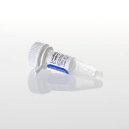 Buy Luciferase SP6 Control DNA, 20ug in NZ.