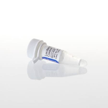 Buy Luciferase T7 Control DNA, 20ug in NZ.