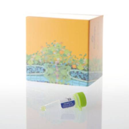 Buy FluoroTect(TM) Green(Lys) In Vitro Translation Labeling Sys in NZ.