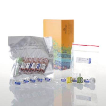 Buy TNT(R) T7/SP6 Coupled Reticulocyte Lysate System in NZ.
