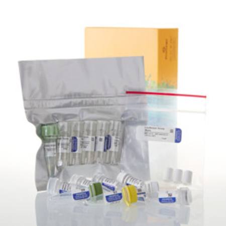 Buy TNT(R) T7/SP6 Coupled Wheat Germ Extract System in NZ.