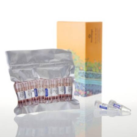 Buy TNT(R) T7 Quick for PCR DNA in NZ.