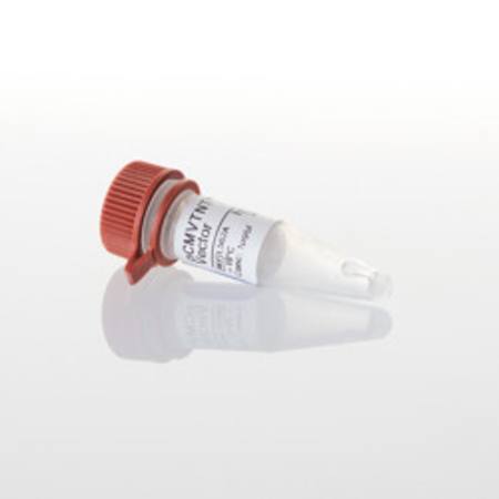pCMVTNT(TM) Vector, 20ug