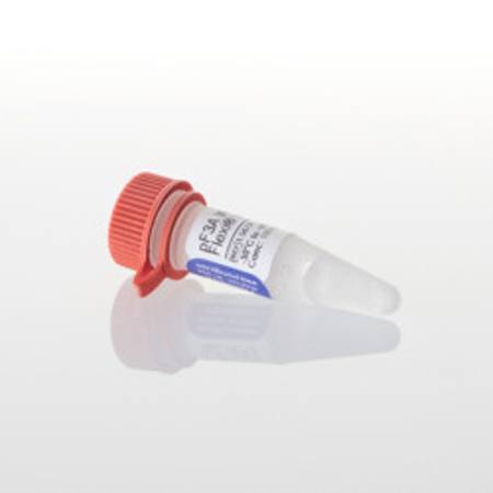 Buy pF3A WG (BYDV) Flexi(R) Vector 20ug in NZ. 