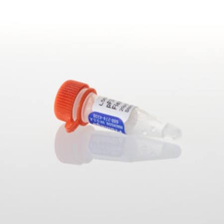 Buy pF3K WG (BYDV) Flexi(R) Vector 20ug in NZ.