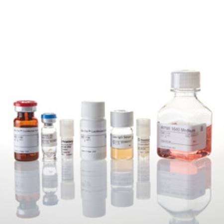 Buy mFcgammaRIV ADCC Reporter Bioassay, Complete Kit in NZ.