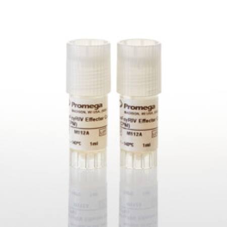 Buy mFcgammaRIV ADCC Bioassay Effector Cells, Propagation Model in NZ.