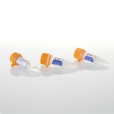 Buy M-MLV Reverse Transcriptase, 50,000u in NZ. 