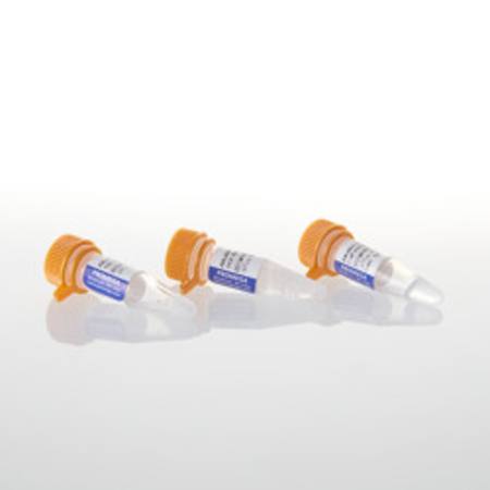 Buy Alkaline Phosphatase Calf Intestinal, 1,000u in NZ.