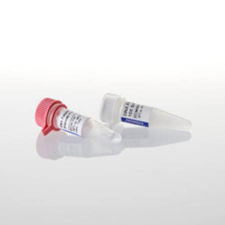 Buy DNA Polymerase I Large (Klenow) Fragment, 150u in NZ.