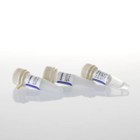 Buy T4 Polynucleotide Kinase, 1,000u in NZ.