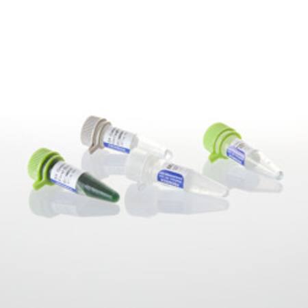 Buy GoTaq(R) Hot Start Polymerase, 100u in NZ.