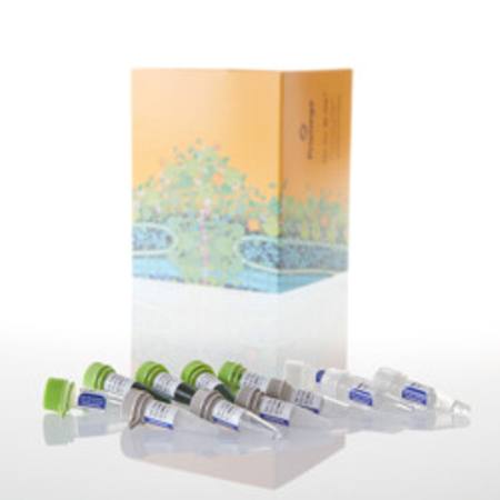 Buy GoTaq(R) Hot Start Polymerase, 10,000u in NZ. 