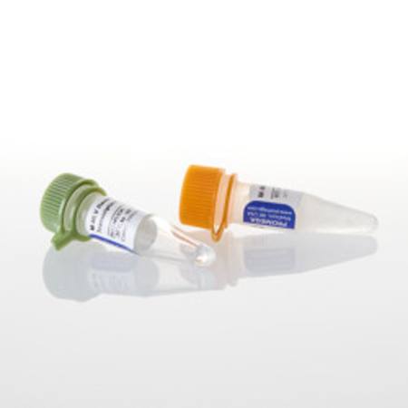Buy M-MLV Reverse Transcriptase, RNase (H-), 10KU in NZ.