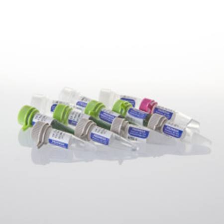 Buy GoTaq(R) G2 Flexi DNA Polymerase, 500u in NZ.