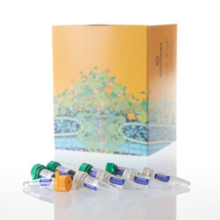 Buy GoTaq(R) G2 DNA Polymerase, 2,500u in NZ.