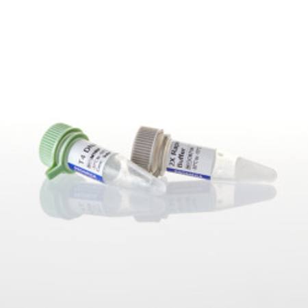 Buy LigaFast(TM) Rapid DNA Ligation System, 30 reactions in NZ. 