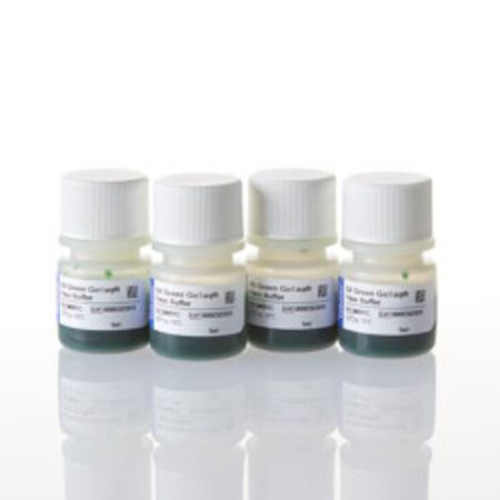 Buy 5X Green GoTaq(R) Flexi Reaction Buffer, 20ml in NZ.