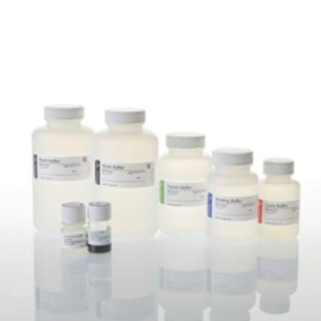 MagaZorb(R) DNA Mini-Prep Kit 200 preps