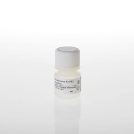 Buy Proteinase K (PK) Solution, 4ml in NZ. 
