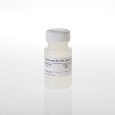 Buy Proteinase K (PK) Solution, 16ml in NZ. 