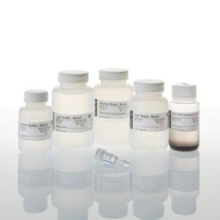 Buy MagneSil(R) Blood Genomic, Max Yield System in NZ. 