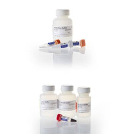 MagneSil(R) Genomic Fixed Tissue System