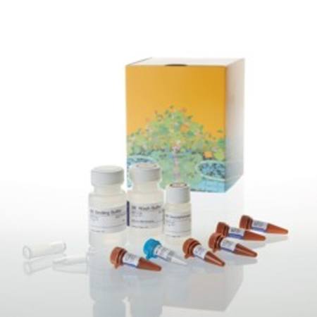 Buy MethylEdge(R) Bisulfite Conversion System, 50 reactions in NZ.