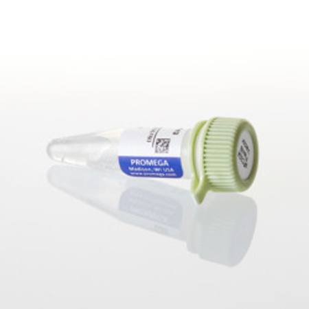 Buy pFC32A NLuc CMV-Hygro Flexi(R) Vector in NZ.