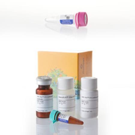 Buy Nano-Glo(R) Dual-Luciferase(R) Reporter Asy/pNL1.1.TK Bundle in NZ.