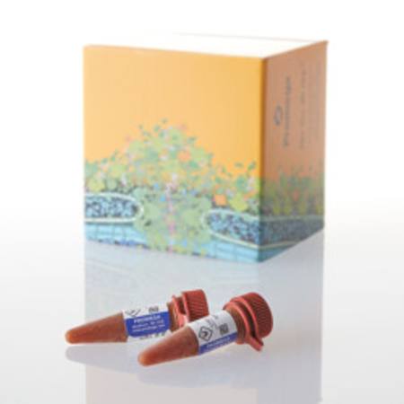 Buy NanoBRET(R) Nano-Glo(R) Substrate 2X1.25ml in NZ. 