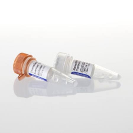 Buy NanoBRET(R) Positive Control in NZ.