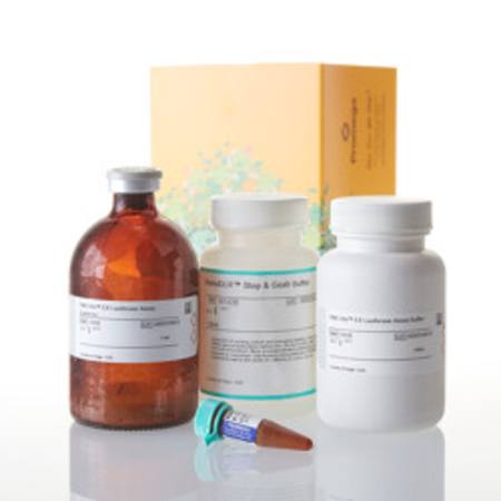 Buy Nano-Glo(R) Dual-Luciferase(R) Reporter Assay System, 100ml in NZ. 