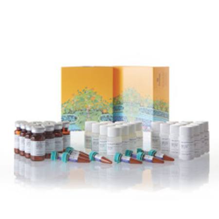 Buy Nano-Glo(R) Dual-Luciferase(R) Reporter Assay, 10 X 10ml in NZ. 