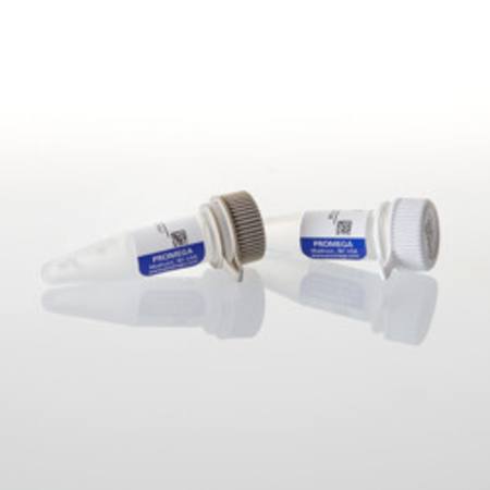 Buy NanoBRET(R) PPI Control Pair (p53,MDM2) in NZ.