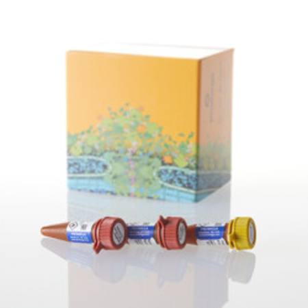 Buy NanoBRET(R) Nano-Glo(R) Detection System 10,000 Assays in NZ.