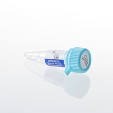 Buy NanoLuc(R)-BRD4 FL Fusion Vector in NZ.