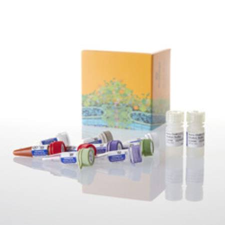 NanoBiT(R) PPI  MCS Starter System