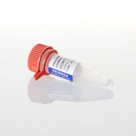Buy RNasin(R) RNase Inhibitor, 2,500u in NZ.